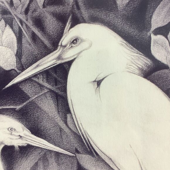 Wayman C Brown Pencil Sketch White Heron ‘Pecking Order’ 19x22 Signed & Matted - Picture 12 of 13